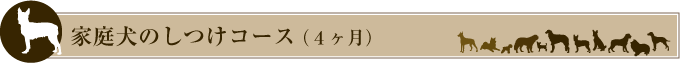 家庭犬のしつけコース(4ヶ月)