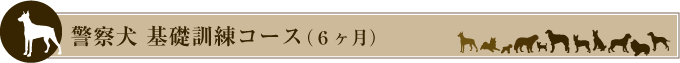 警察犬 基礎訓練コース(6ヶ月)